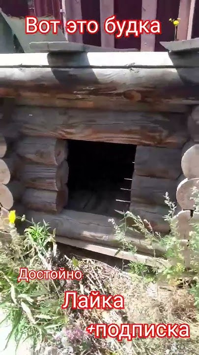 вот это бутка для собаки - YouTube