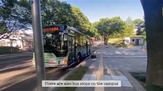 [Tohoku University Campus] Virtual campus tour from Aobayama to Kawauchi
