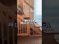 【ついに-25℃】ゴールデンレトリバーと暮らす北海道の朝 #コール家