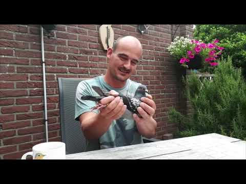 Jurrian van Amerongen, Bunnik wint Marseille SMN 2021