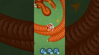 Tiger King Of The Ring Worms Zone New Gameplay 😈 Worms Zone New Update 🤯Worms Zone #shorts #trending