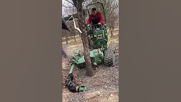 Ornamental tree excavation process in the nursery!