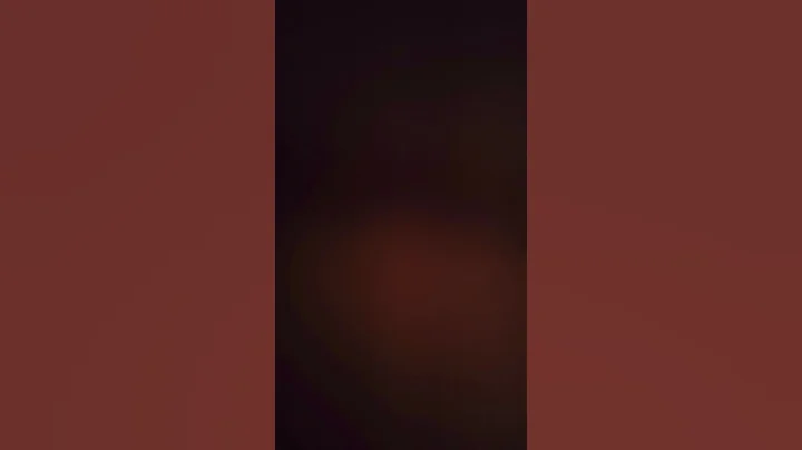 Video 11136381: persian kitten cats catlover, persian catlover kitten cute, persian cats funnycats