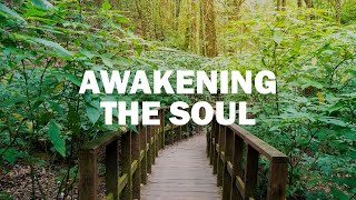 ZEN Mindfulness Music 🌿 Soothing &amp; Relaxing for Sleep, Meditation, Study &amp; Spa🍀