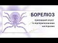 Бореліоз  Хвороба Лайма. Лікування та профілактика. Вакцинація Borrelym3 (Борелим 3)