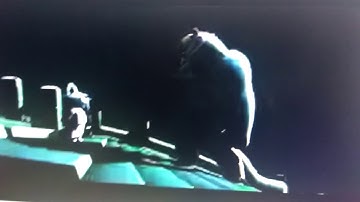 Kung fu panda WTF Boom