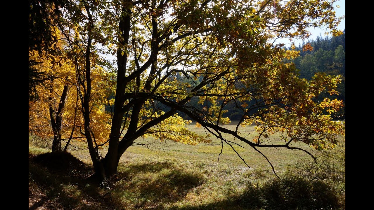 Úterský potok a okolí...
