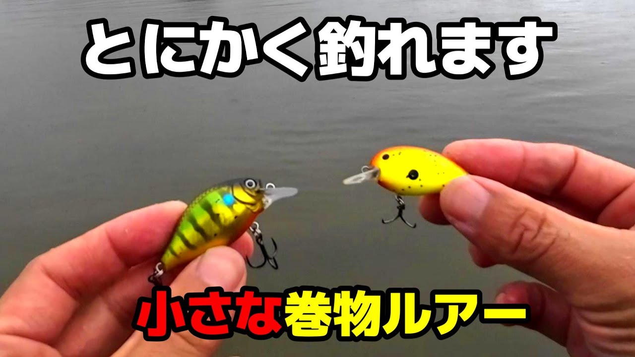 秋らしく巻いて釣りたい時に高確率でヒットするハードルアーと使い方を