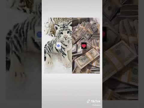 هدول مليار دينار 