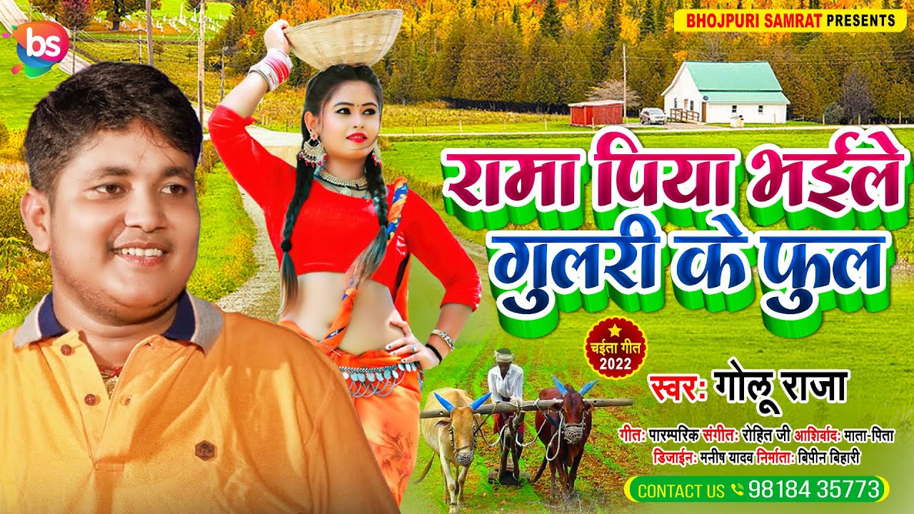 रामा पिया भइले गुलरी के फुल | #Golu_Raja का सबसे सुपरहिट देहाती चईता गीत | Bhojpuri Chaita Song 2022