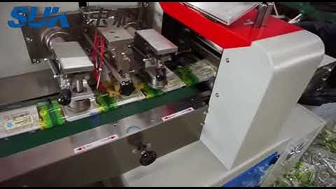 Switch panel packing machine , Socket packing machine ,screw counting and packing machine