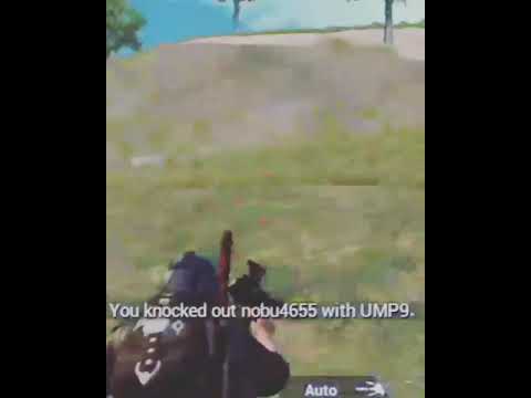 Fun with bot