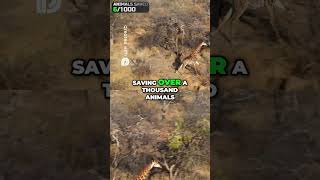 Watch Full Vid - Https:m.youtube.com/Watch?V=Oo9Ebarcq1C&Pp=Yguhbxjizwfzdnihcqkeaao1Ajebqw%3D%3D Resimi