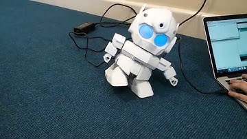 Rapiro Raspberry Pi Programmable Robot