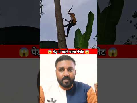 A small gadget climbing into a tree 🐜🌳⬆️