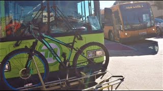 Bus from McAllen to Edinburg Texas