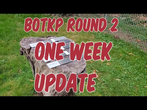 Round 2 Is Kicking A$$!!! Battle Of The Knife Protectants