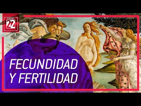 Vídeo: Diferencia Entre Fertilidad Y Fecundidad