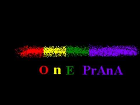 "OnE PrAnA" presentacin audiovisual de integrantes...