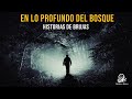 En Lo Profundo Del Bosque (Historias De Brujas)