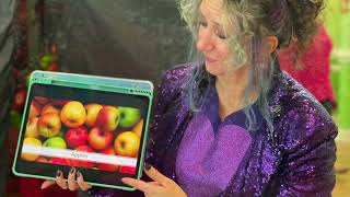 What a Fabfriz Education Immersive Literacy Adventure