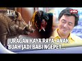 Juragan Licik Pesugihan Babi Ngepet Telan Nyawa Anak Buah Aini Malaikat Tak Bersayap Eps 218 FULL