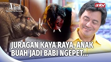 Juragan Licik! Pesugihan Babi Ngepet Telan Nyawa Anak Buah | Aini Malaikat Tak Bersayap Eps 218 FULL