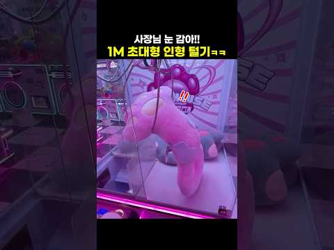 사장님 눈 <strong>감아</strong>!! 1M 초대형 인형 털기ㅋㅋ #shorts #뽑기 #인형뽑기