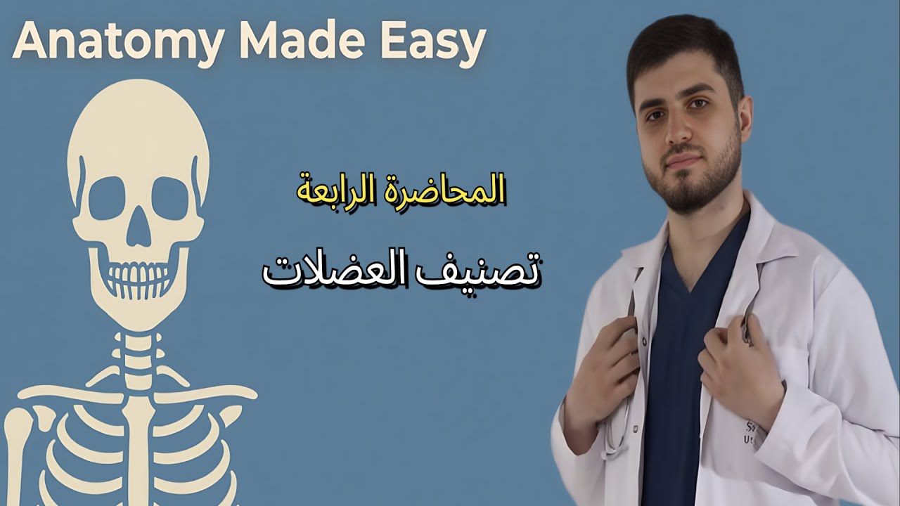 Classification of Muscles | تقسيم العضلات – Anatomy Made Easy