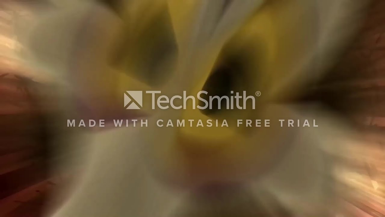 10 dicas para melhorar sua produtividade no trabalho visual data 8