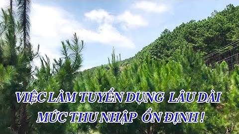 VIỆC LÀM TUYỂN DỤNG LÂU DÀI MỨC THU NHẬP ỔN ĐỊNH | THÔNG TIN HÔM NAY