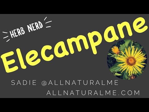 tratament de plante articulare elecampane