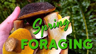 Spring Foraging PNW  Mushrooms, Wild Edible Plants, & More