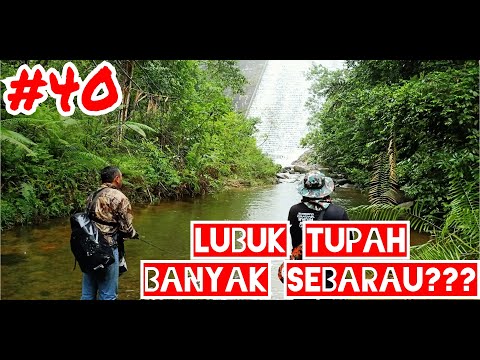 Lubuk Tupah Banyak Sebarau???