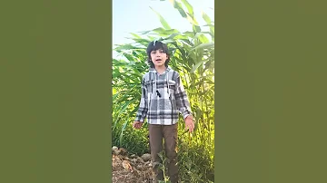 وهذا الحب أغرقني اشتياقا شعر مكة دمشق سوريا ايران طهران اليمن العراق السعوديه موريتانيا 