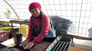 JANUARY SEEDS = Future Food | What to Start NOW Indoors!