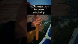 Сура 55. Ар-Рахман (Милостивый) аяты 19-21🌊 Фарес Аббад #quran #koran #arrahman #коран #shorts