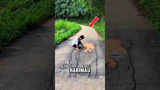 Harimau Di Tengah Jalan