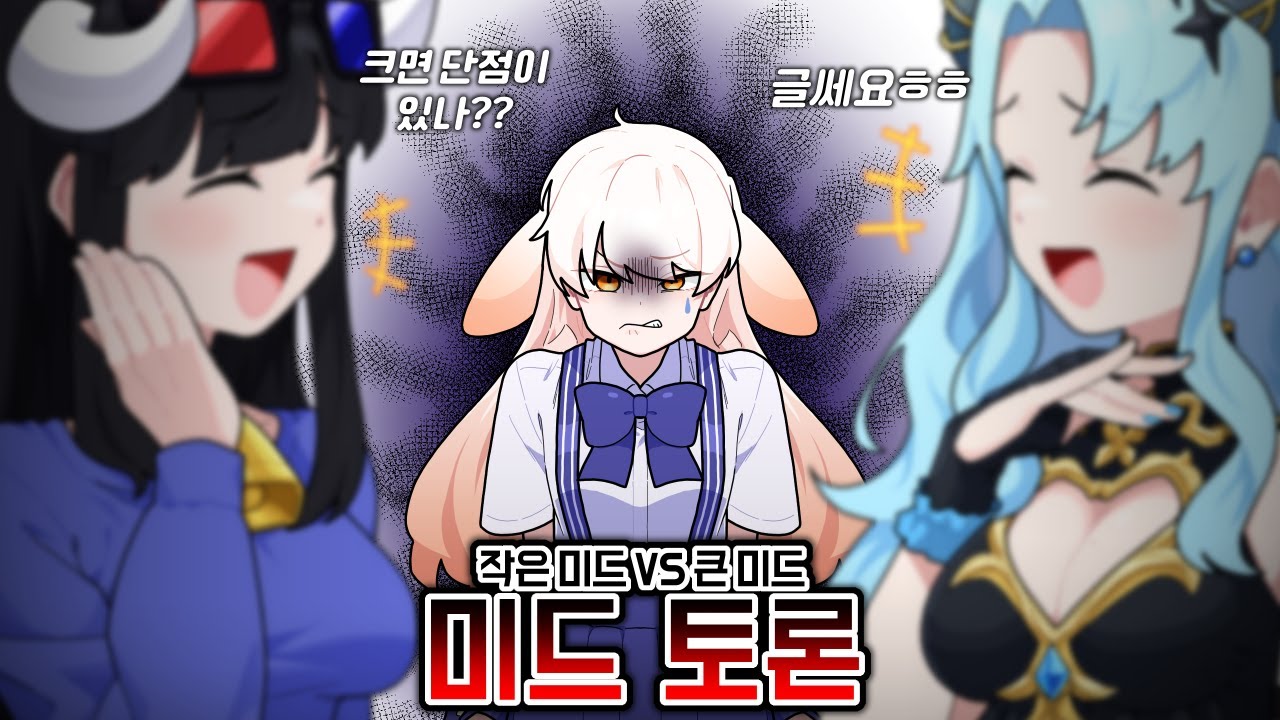 큰 미드vs작은 미드 토론회