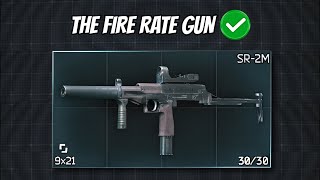 Tarkov explained in SR-2M