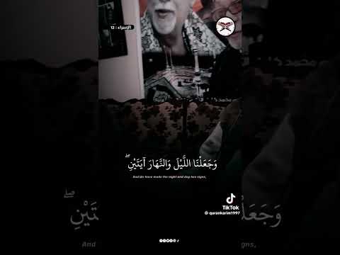 تقليد سيد متولي الشيخ محمود سرحان وجعلنا اليل والنهار ايتين