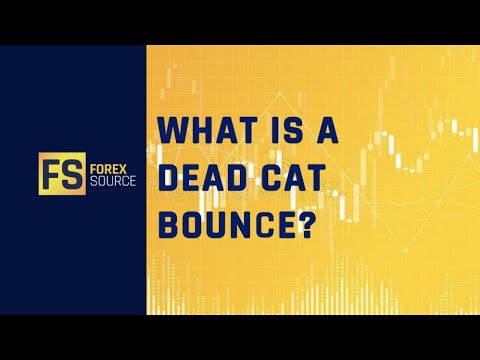 What Is A Dead Cat Bounce?