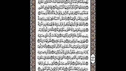سورة الحاقه القارئ علي احمد المهري