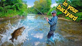 I fished a tiny creek RIGHT IN YOUR BACK YARD!