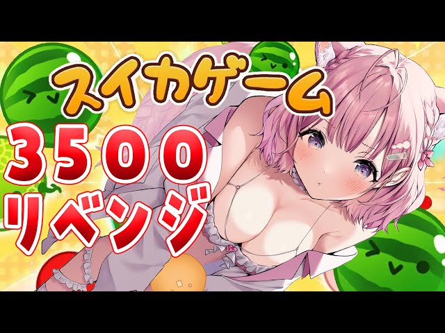 【スイカゲーム】3500点リベンジ！！！🔥コツを掴みましたのでいけますたぶん【博衣こより/ホロライブ】のサムネイル