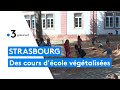 Strasbourg  une cour de rcration vgtalise pour les coles maternelles