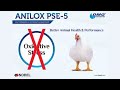 Anilox PSE-5: The Essential Feed Additive for Poultry Health