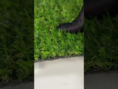 4м Штучна трава для вулиці ecoGrass 17, видео 1