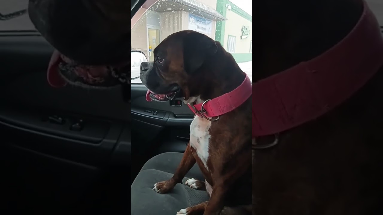 Пикап Chevrolet C20 1968 года выпуска 