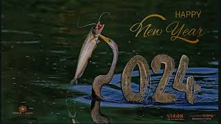 🤩 Breathtaking Photography and Films on Website igpgy.com, FREE Wildlife Calendar of 2024 📅